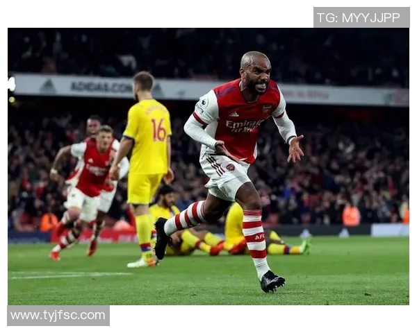 尼日利亚与利比亚的较量：足球激情与文化碰撞的精彩对决